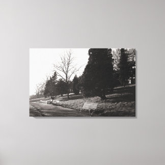 Lienzo Bell Vue Park, Newport, Mon (diciembre de 1977)