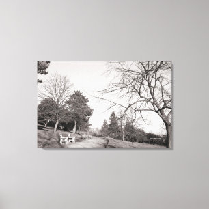 Lienzo Bell Vue Park, Newport, Mon (diciembre de 1977)