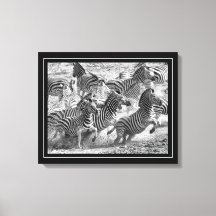 Bella Artes de fotografía en blanco y negro Zebra