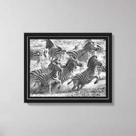 Lienzo Bella Artes de fotografía en blanco y negro Zebra