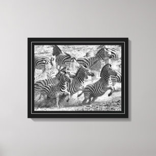 Lienzo Bella Artes de fotografía en blanco y negro Zebra
