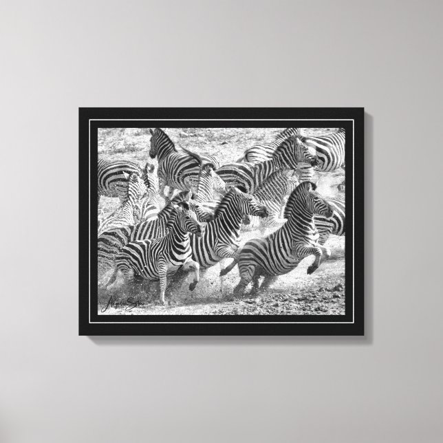 Lienzo Bella Artes de fotografía en blanco y negro Zebra (Anverso)