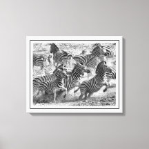 Bella Artes de fotografía moderna en blanco y negr