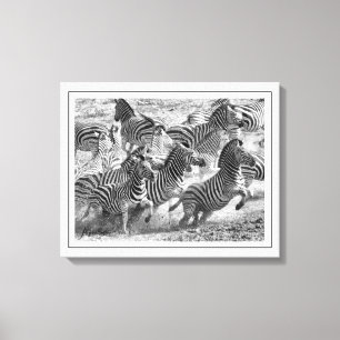 Lienzo Bella Artes de fotografía moderna en blanco y negr