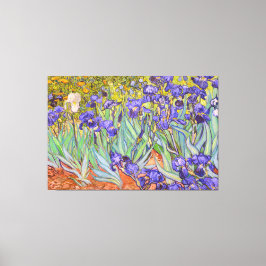Lienzo Bella Artes de Irises Vincent Van Gogh