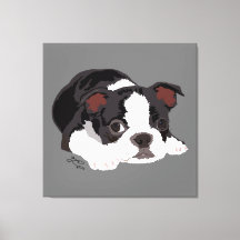 Bella Artes estético de cachorros de Boston Terrie
