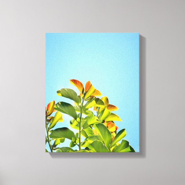 Lienzo bella planta verde y naranja abrazando una clara (Anverso)