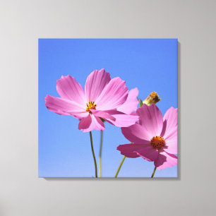 Lienzo bellas flores rosas abrazando un cielo azul claro