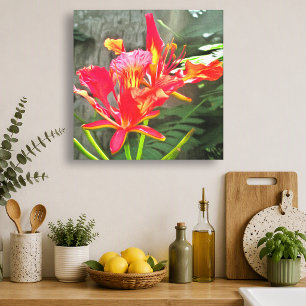 Lienzo Belleza Ardiente de Vallarta Floral Tropical 1583