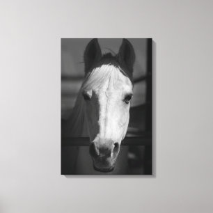 Lienzo BELLEZA BLANCA 16x24