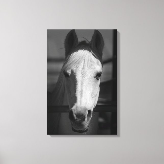 Lienzo BELLEZA BLANCA 16x24 (Anverso)