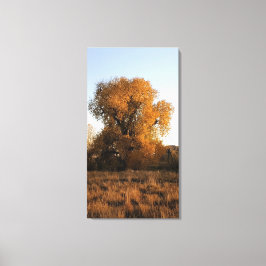 Lienzo Belleza de Colorado