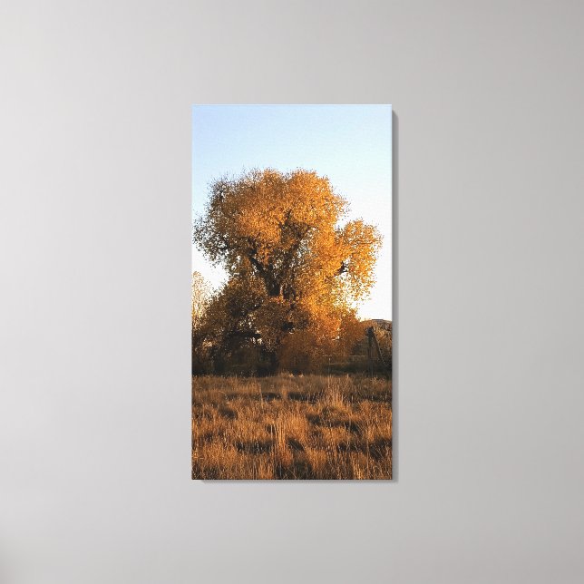 Lienzo Belleza de Colorado (Anverso)