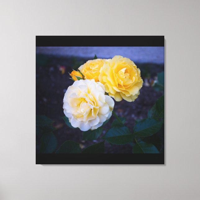 Lienzo Belleza de los Rosas (Anverso)