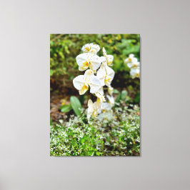 Lienzo Belleza de Orquídea