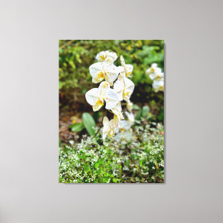 Lienzo Belleza de Orquídea