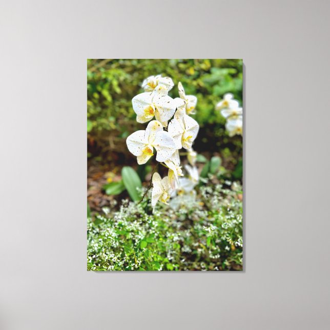 Lienzo Belleza de Orquídea (Anverso)