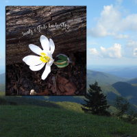 BELLEZA DIOS ESCRIBIENDO A MANO EMERSON EARTHY