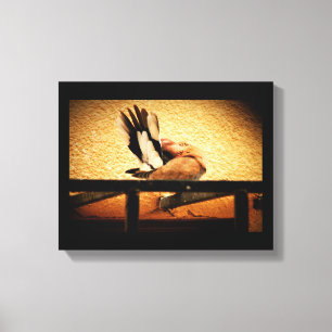 Lienzo Belleza oculta