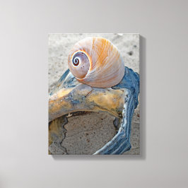 Lienzo Bellezas imperfectas