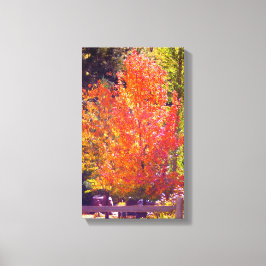 Lienzo Bellos colores otoñales 2
