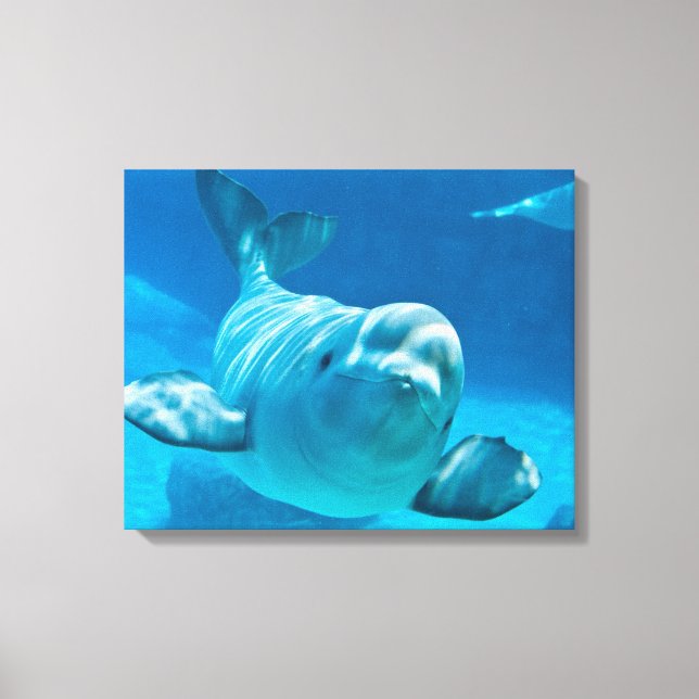 Lienzo Beluga Whale (Anverso)