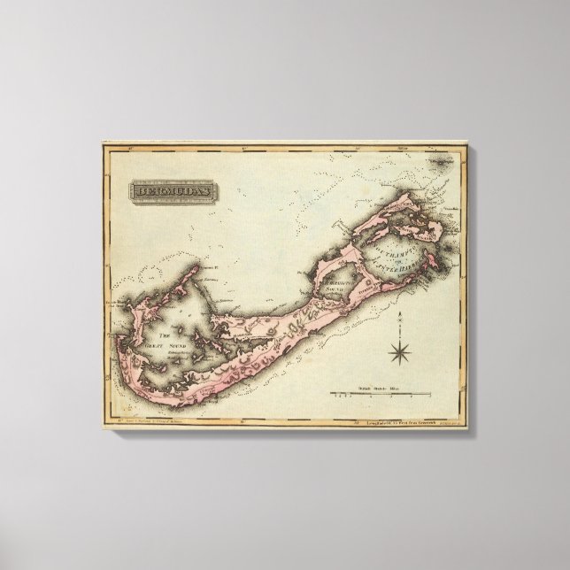 Lienzo Bermudas (Anverso)