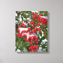 Lienzo ¡Berries y Nieve!