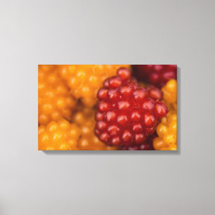 Lienzo Berry