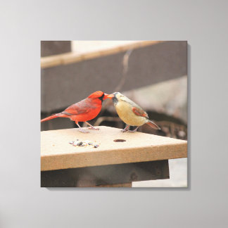 Lienzo Beso de cardenales