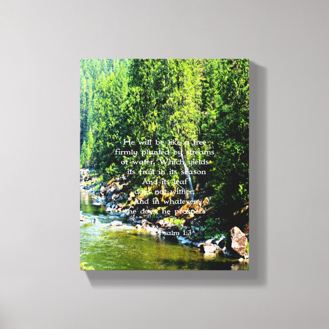 Lienzo Biblia Cristiana Verse Scripts Forestal Creacionis (Anverso)