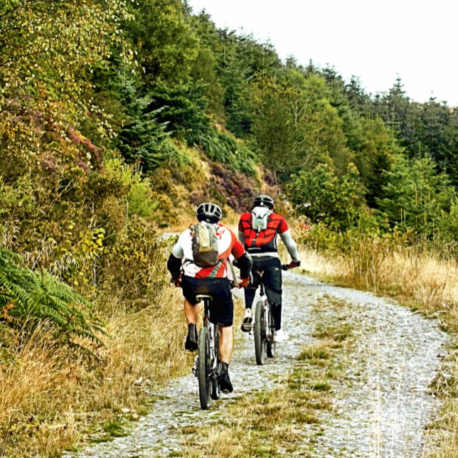 LIENZO BICICLETA DE MONTAÑA (Subido por el creador)