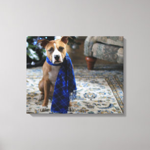 Lienzo Bienvenida navideña del perro de rescate de Pit Bu