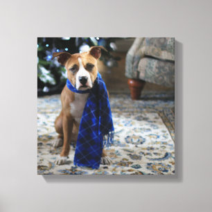 Lienzo Bienvenida navideña del perro de rescate de Pit Bu
