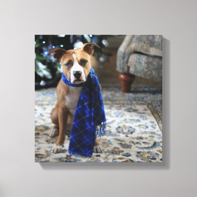 Lienzo Bienvenida navideña del perro de rescate de Pit Bu (Anverso)