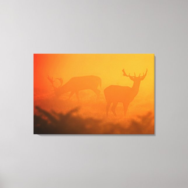 Lienzo Big Buck al atardecer varios tamaños de Naranja qu (Anverso)
