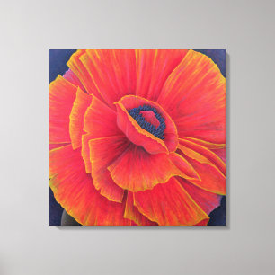 Lienzo Big Poppy 2003