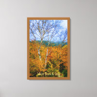 Birch blanco y oro