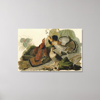 Lienzo Bird, America, Ruffed Grouse, Audubon, Canvas