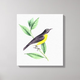 Lienzo Bird | Zazzle_Growshop.
