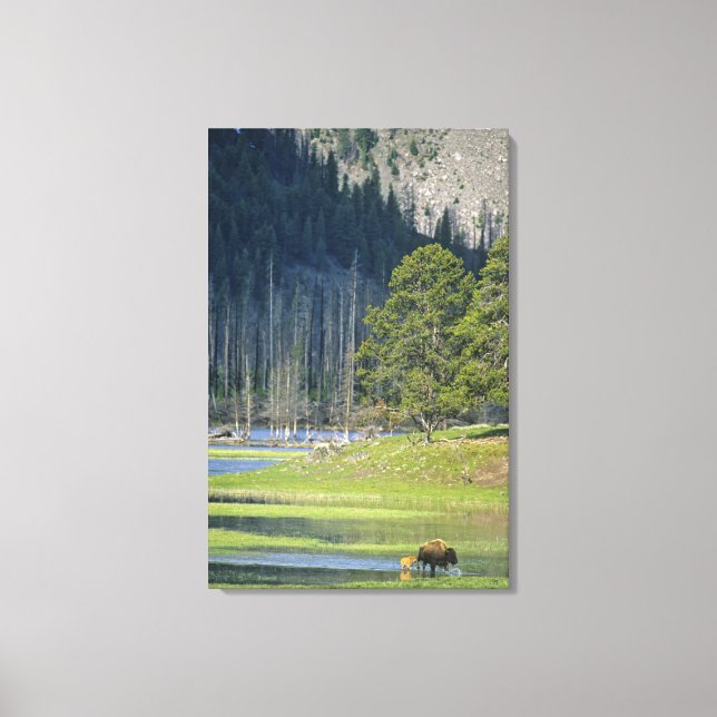Lienzo Bison con cría en el Parque Nacional Yellowstone (Anverso)