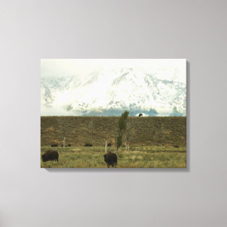 Lienzo Bison en la fotografía del parque nacional del Gra