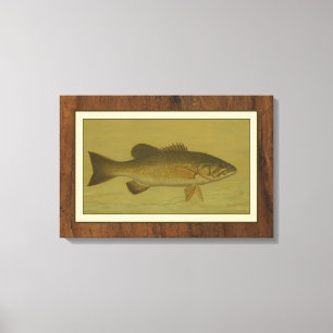 Lienzo Black Bass en un fondo verde