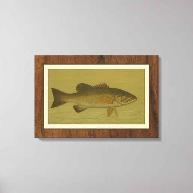 Lienzo Black Bass en un fondo verde (Anverso)