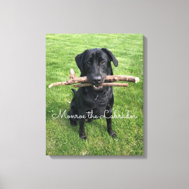 Lienzo Black Lab con dos palos Dog Photo and Name (Anverso)
