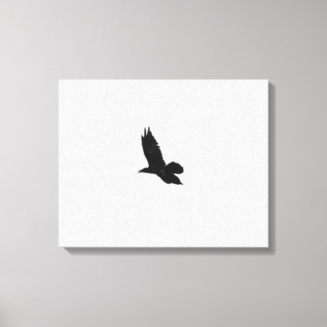 Lienzo Black & White Flying Black Raven 16x20 (Anverso)