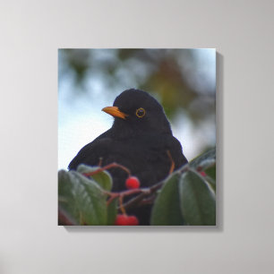 Lienzo Blackbird