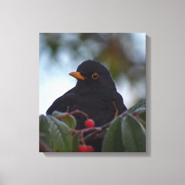 Lienzo Blackbird (Anverso)
