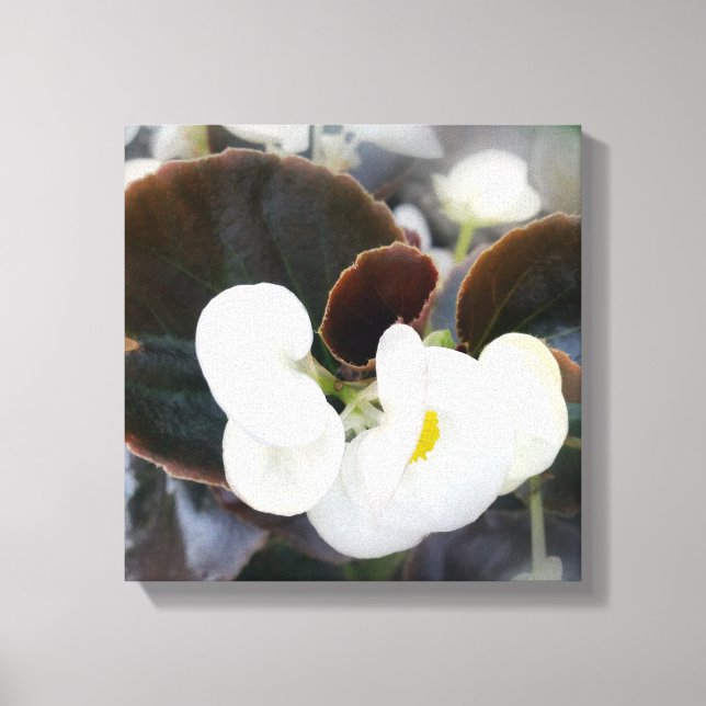 Lienzo blanco y borgoñoso (Anverso)