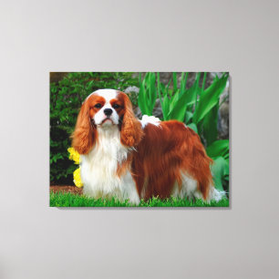 Lienzo Blenheim Cavalier King Charles Spaniel Perro Cacho